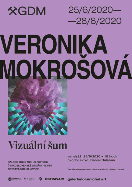 Výstava Veronika Mokrošová: Vizuální šum