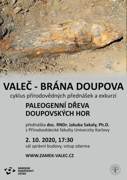 Paleogenní dřeva Doupovských hor - přednáška - ZRUŠENO