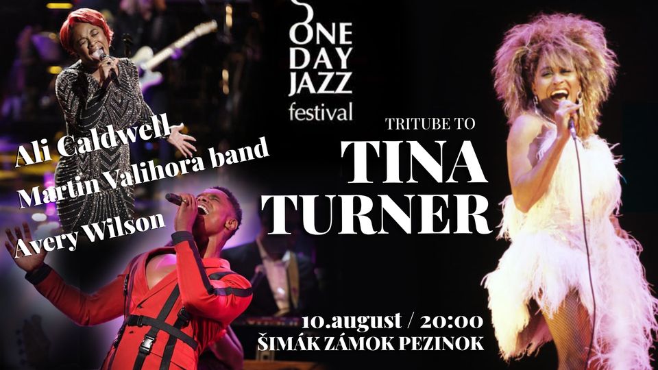 One Day JAZZ festival - Tribute to TINA TURNER