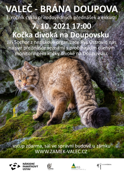 Kočka divoká na Doupovsku, přednáška - Jiří Sochor