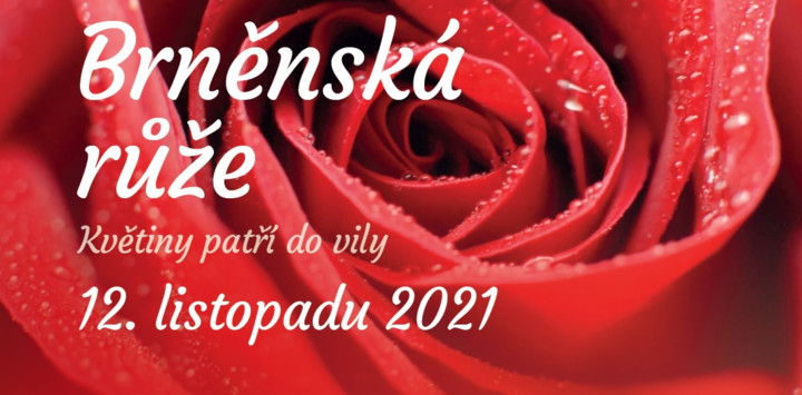 Mezinárodní floristická soutěž Brněnská růže ve vile Stiassni