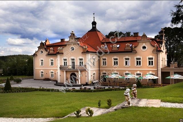 Zámek, postavený po roce 1877 v areálu vidovického poplužního dvora, je jedním z nejmladších panských sídel ve středních Čechách. V r. 1904 rozšířen, úpravy v r. 1910. Po 2. svět. válce zestátněn, obýván armádou, poté chátral. Rekonstruován na Dětský ráj, hotel a sportovní centrum.